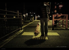 at the rail crossing