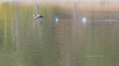 take off