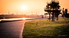 evening walk