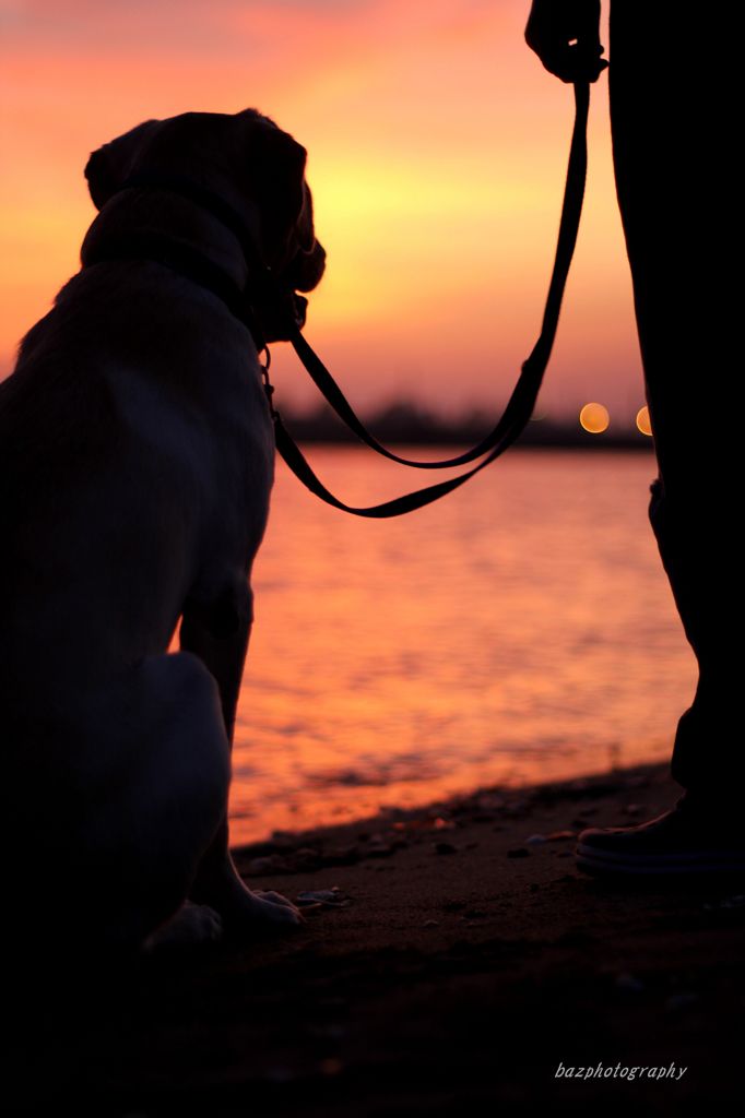 Sunset and Oasis