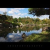 Early Autumn