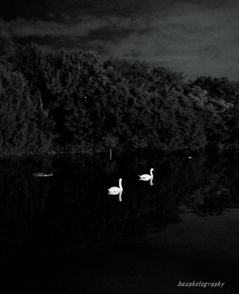 last night at the park