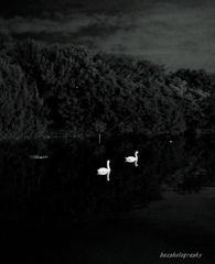 last night at the park