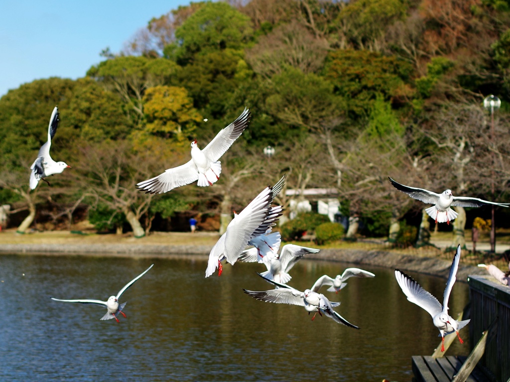 Catch!