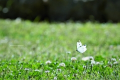 one fine day