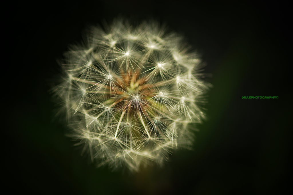 World of fantasy