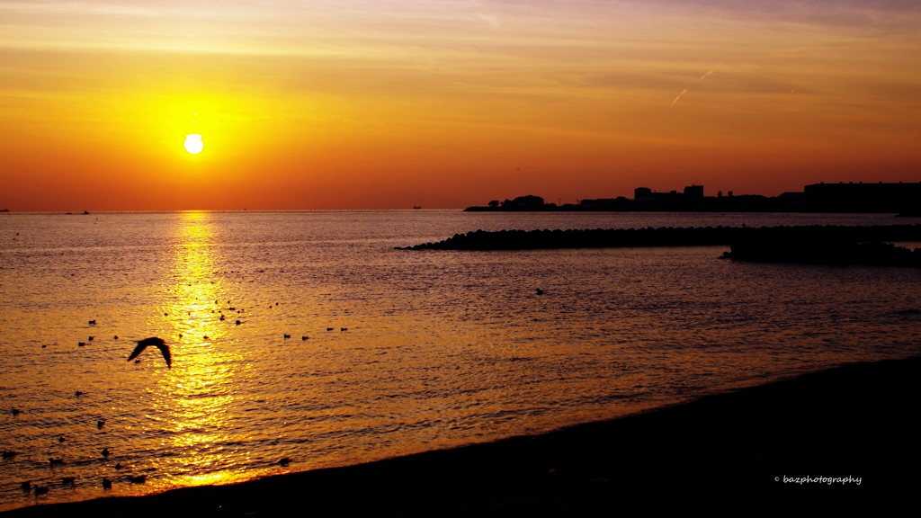 shoreline