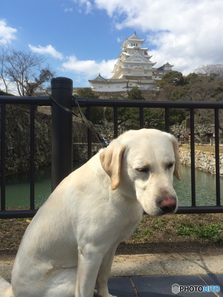 @ Himeji Castle