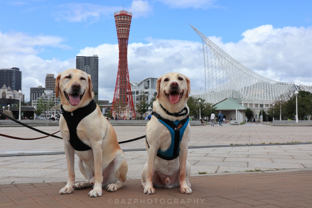 Meriken park