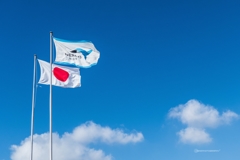 Aozora