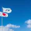 Aozora