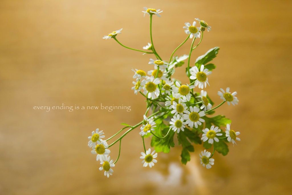 New Beginning