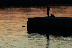 sunset fishing