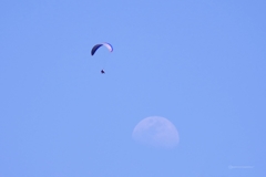 Fly me to the moon