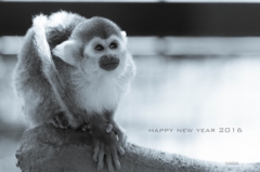 新年