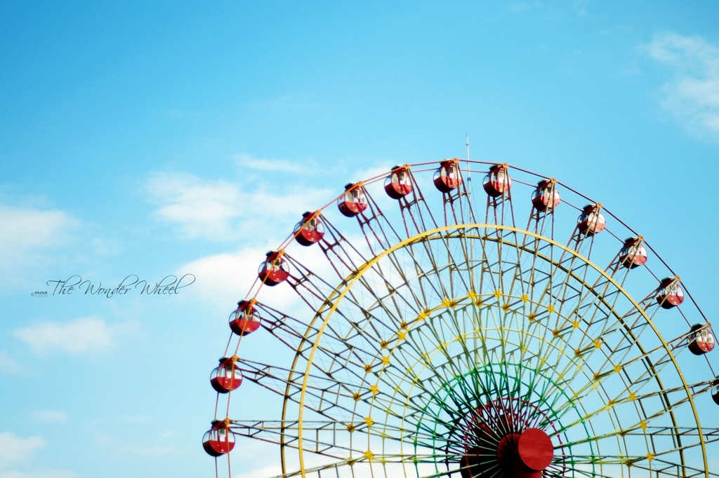 The Wonder Wheel