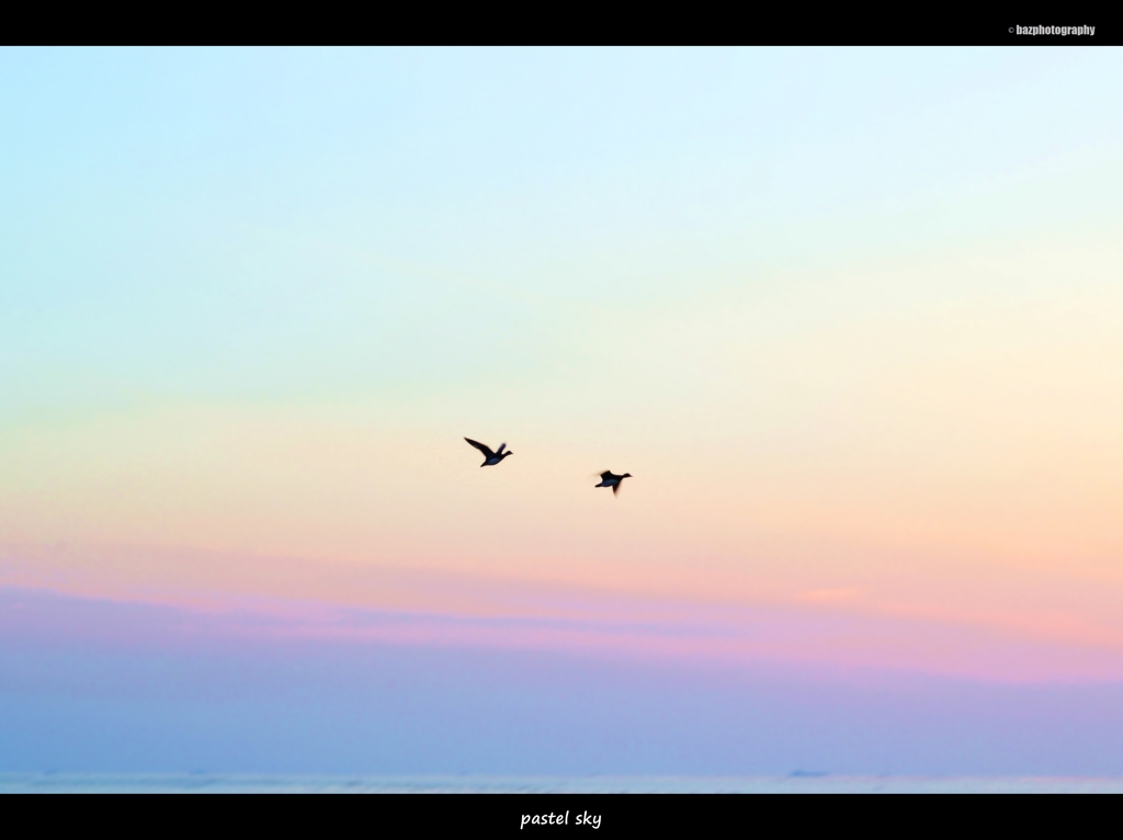 パステル色の空