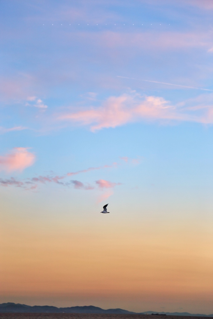 If I could fly