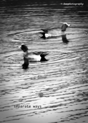 separate ways