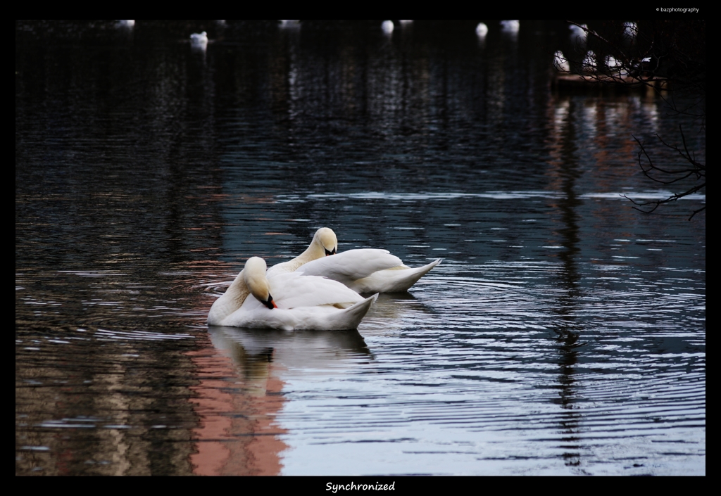synchronized