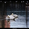 synchronized
