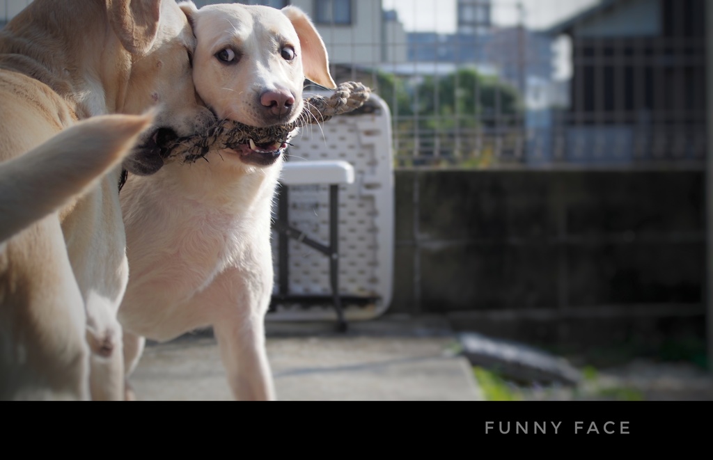 Funny face
