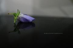 a piece of memory