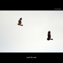 wait for me!