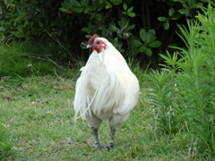 DSC00148