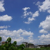 暑い