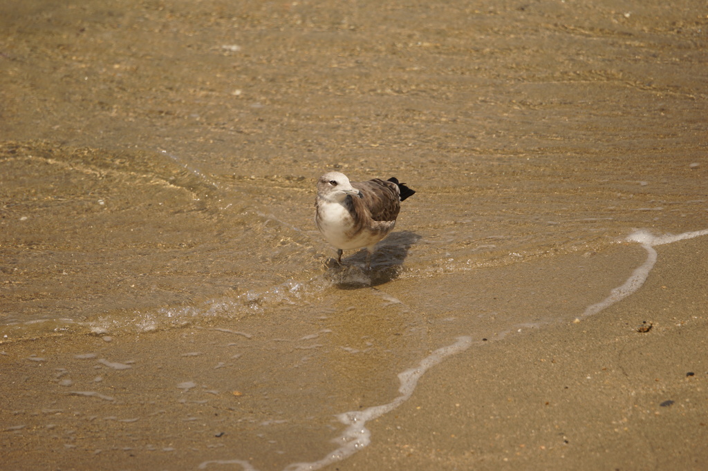 水浴びで