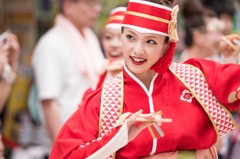 2014年高知県YOSAKOI祭り