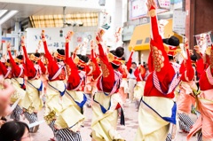 2014年高知県YOSAKOI祭り