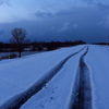 続く雪の道