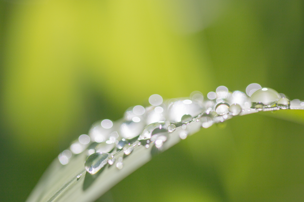 雨上がり