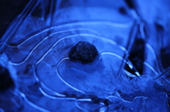 薄氷