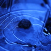 薄氷