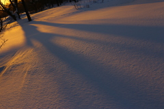 雪に伸びる長い影