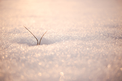 雪解けキラキラ