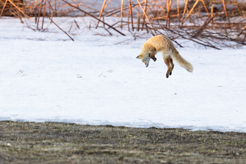 西日が射すころ