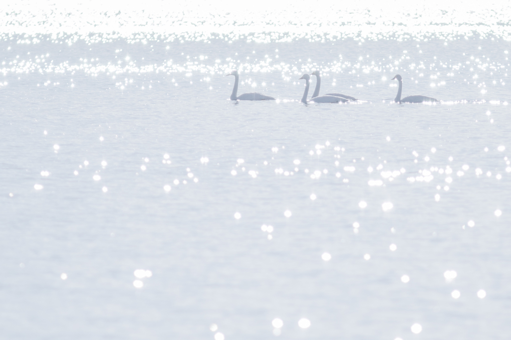 ゆっくりと流れる時間