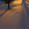 雪が受け止める光と影