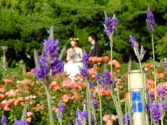 inうつぼ公園