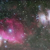 オリオン座の星雲。