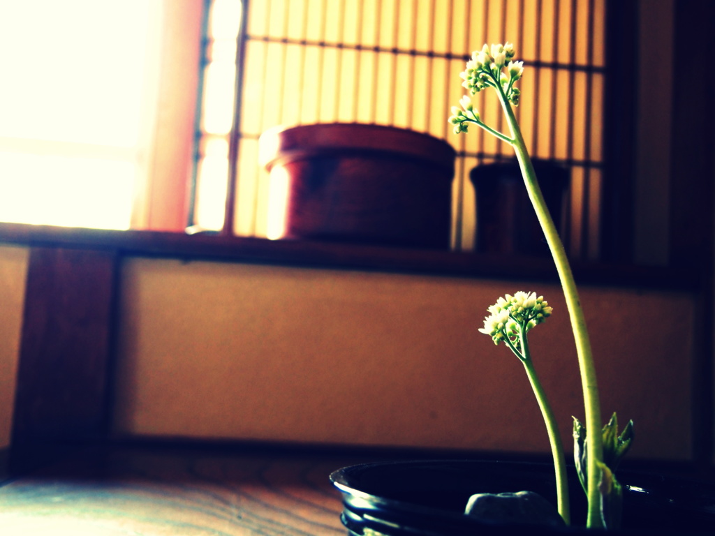 暖かい方へ進みたいと思うのは