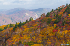 東北の秋