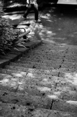DSC06918