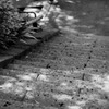 DSC06918