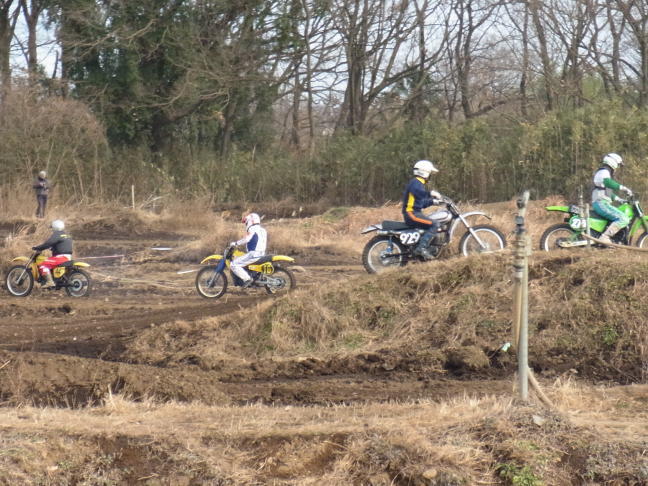 2013jan (16)