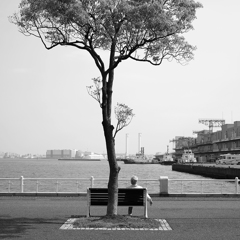 将来
